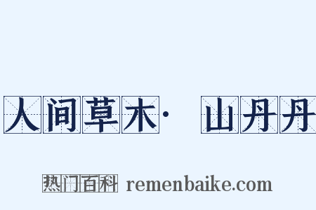 人间草木·山丹丹是什么意思的图片